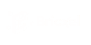 Bricxel Logotipo OFICIAL